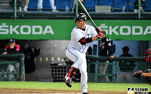 大王旅外／爭取大王要花五億 阪神鎖定王柏融？