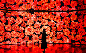 網美打卡新亮點！全台最大拼接電視牆絢麗登場