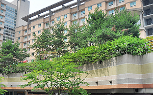 教授父親寶貴的課程 南韓學生上四年領540萬