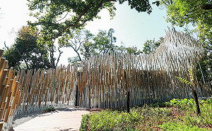 暢玩大自然又能顧環保！ 紙做石虎建築超吸睛