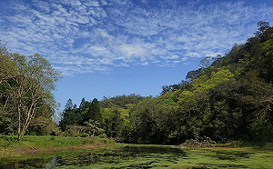 對抗水草新策略　福山植物園打造平衡生態！