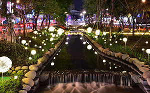 浪漫光景照亮綠柳川！最美夜景絢麗登場