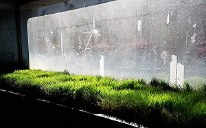 颱風有機會接力形成！氣象局：明後天是關鍵