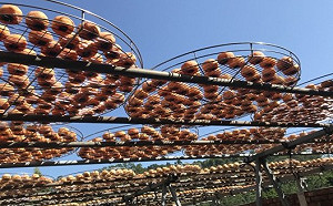 柿子紅了！到北埔品嘗甜柿創意料理動手DIY