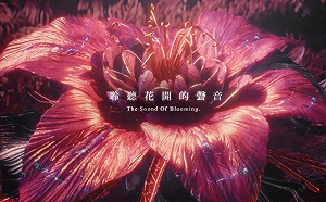 (影)台中花博開幕形象影片曝光 網友讚嘆：看了會想去！