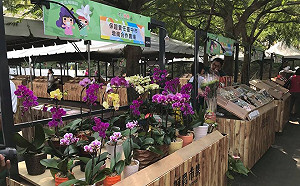 好吃好逛又好玩 全台最大好農市集於花博登場！