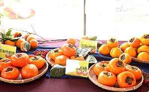 番路柿子節買氣紅不讓  民眾評比「最佳好柿」