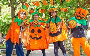 不給糖不搗蛋還有驚喜！觀音萬聖南瓜節hen不一樣