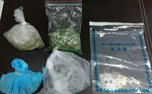 東湖驚傳毒狗 狗隻誤食兩死