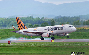 富家女臨櫃改航班不成　槓上台灣虎航互告求償