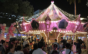 粉紅風暴好浪漫！屏東百年公園散發濃濃聖誕氣息