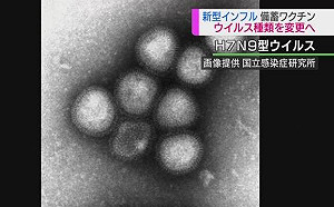H7N9禽流感病毒 首度確認可透過飛沫擴散