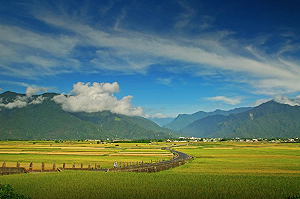 秋遊台東很方便！ 一卡在手玩遍台東各角落
