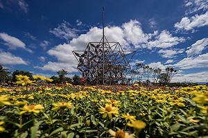 藍議員控花博外埔園區冷清清  中市府：下階段宣傳重頭戲