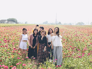 網紅加國際品牌齊聚 共同行銷台中花博