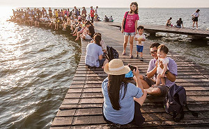 高美濕地木棧道11/26起維修！誤闖最高可罰25萬元