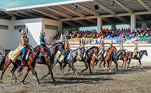 38國際名駒齊聚！刺激馬術比賽將登場