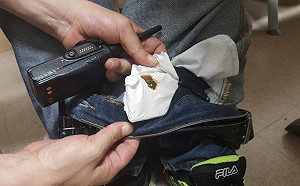 夾帶23公斤市值3000萬黃金 8台籍旅客入韓牢