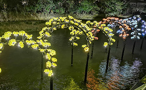 拍婚紗新景點！花博水岸花都超浪漫