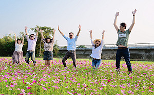 北市冬季萬坪花海！關渡秘境好美又好拍