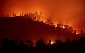 加州野火南北肆虐  目前44人已罹難