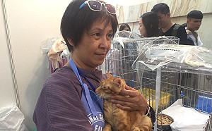 尋個溫暖的家！新北動保替23隻毛孩找新主人