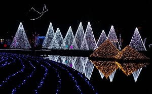 宜蘭打卡新亮點！20米耶誕主燈光影秀超好拍