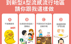 預防新型A型流感從日常做起！「5要6不」原則報你知