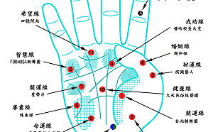 柯P選前之夜喚「藍綠共生」  表演陣容曝光