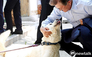 (影) 金正恩送的狗生6寶寶  文在寅: 希望兩韓關係也這樣