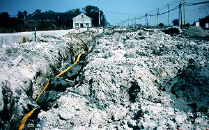 戴奧辛汙染案  中石化判賠1.8億元確定