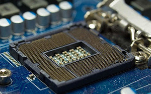 市調：超微明年伺服器晶片市占可倍增  達5%