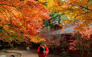 不必出國就很美！全台IG必拍4大「楓紅」原來在這裡