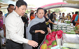 外傳接手農委會？張花冠正巧北上行銷農產品
