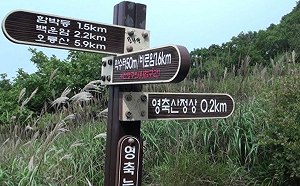 南韓叢林大火  消防直升機墜入漢江 釀1死2傷