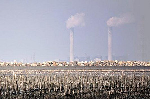 六輕石化工業區影響兒童健康 監委要查