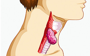 恐怖食道癌奪命  5年存活率低於2成