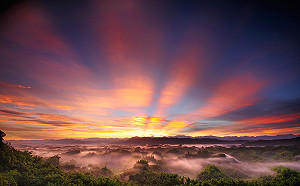 台南二寮曙光好迷人！3千張入場券免費索取