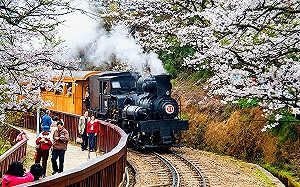 火車迷超興奮！阿里山復古蒸氣火車元旦正式開跑