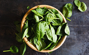 亂吃中藥、保健食品身體反而出狀況！小心引發藥物性肝炎