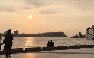 「陳其邁咖啡音樂會」直播看這裡！好吃好玩應有盡有