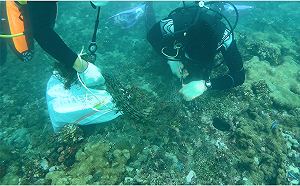 維護海洋生態！新北元旦起「刺網漁具」將實施記名