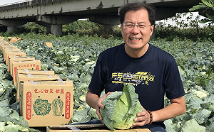 吳芳銘幫高麗菜農找出路  協助處理150公噸高麗菜