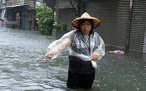 嘉市第一高票議員被勸進選立委 王美惠：尊重黨內機制