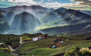人類自由指數紐西蘭居冠  台灣第 10 、大陸東亞最低