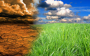 拒絕替全球空氣買單　巴西新環長：將開發亞馬遜雨林