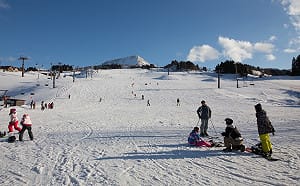 北海道遇4車連環撞  29台灣滑雪客飽受驚嚇