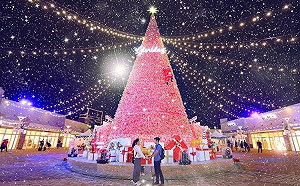 不能不知的聖誕景點！全台10大IG「耶誕打卡熱點」報你知