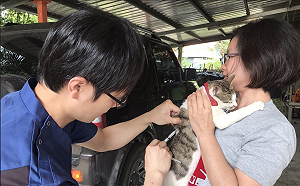 飼主注意！毛小孩未定期施打「狂犬病疫苗」最高可罰15萬