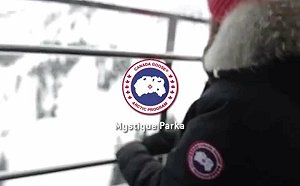 掃到外交颱風尾！「加拿大鵝」中國首家店推遲開業